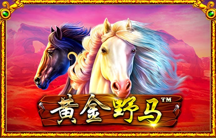 酷游ku游备用入口二